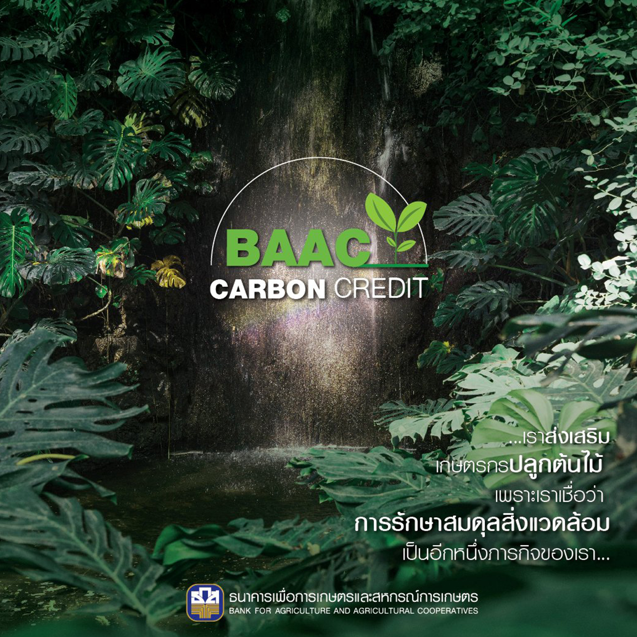 BAAC Carbon Credit