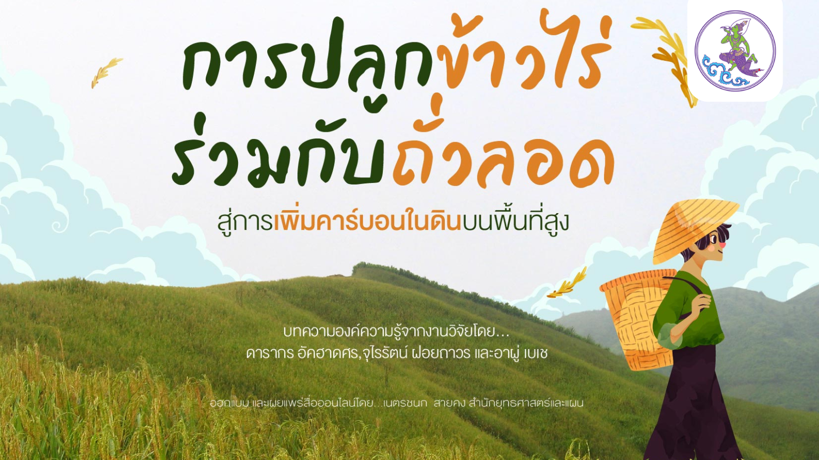 การปลูกข้าวไร่ร่วมกับถั่วลอด สู่การเพิ่มคาร์บอนในดินบนพื้นที่สูง