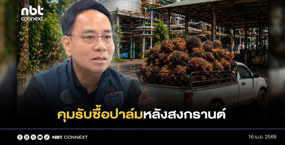 กรมการค้าภายใน สั่งคุมเข้มรับซื้อปาล์มหลังสงกรานต์ ลุยเช็กลานเท&ndash;โรงงานทันที กันกดราคา