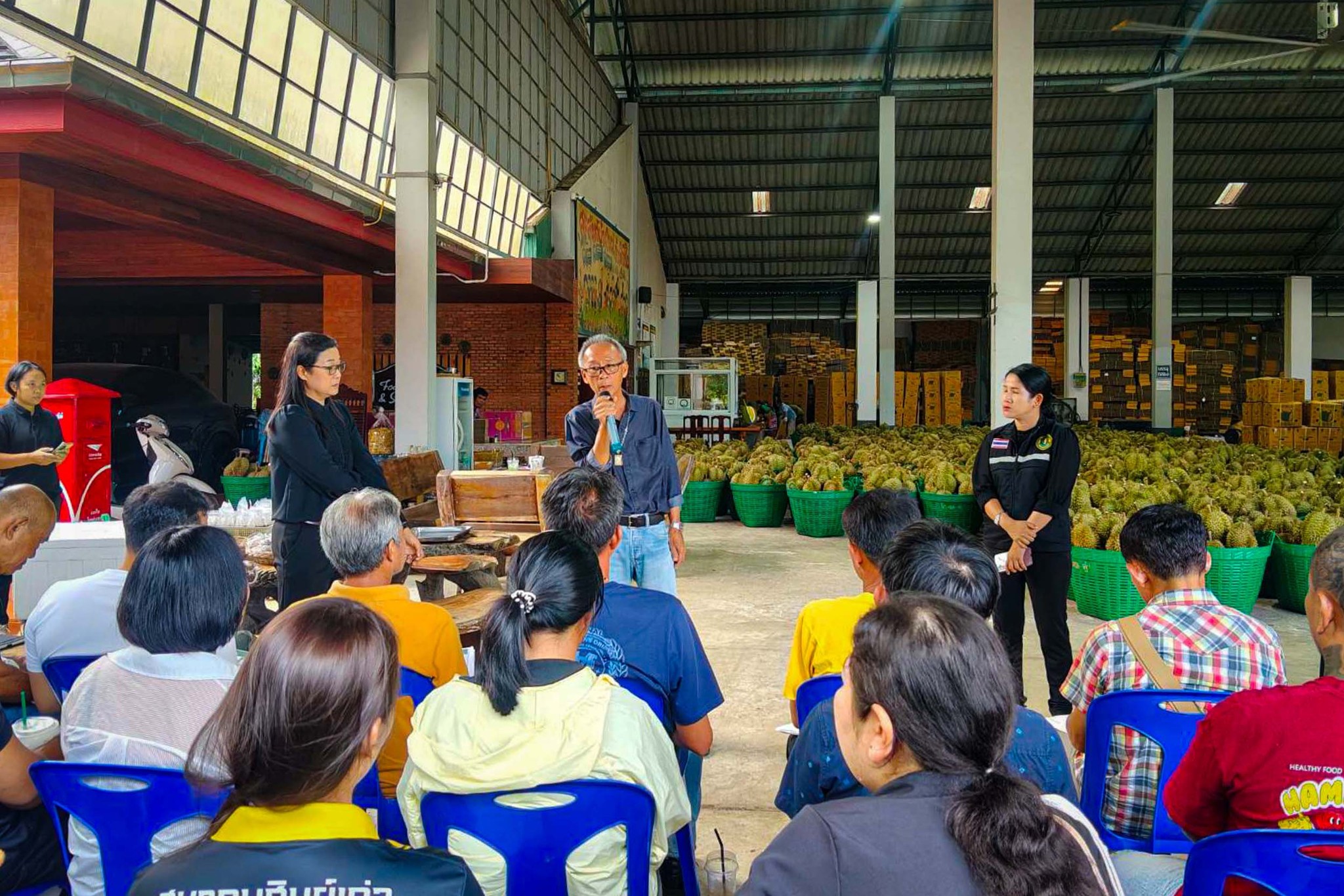 สำนักงานเกษตรจังหวัดตราด พัฒนาศักยภาพนักคัดนักตัดทุเรียนมืออาชีพจังหวัดตราด