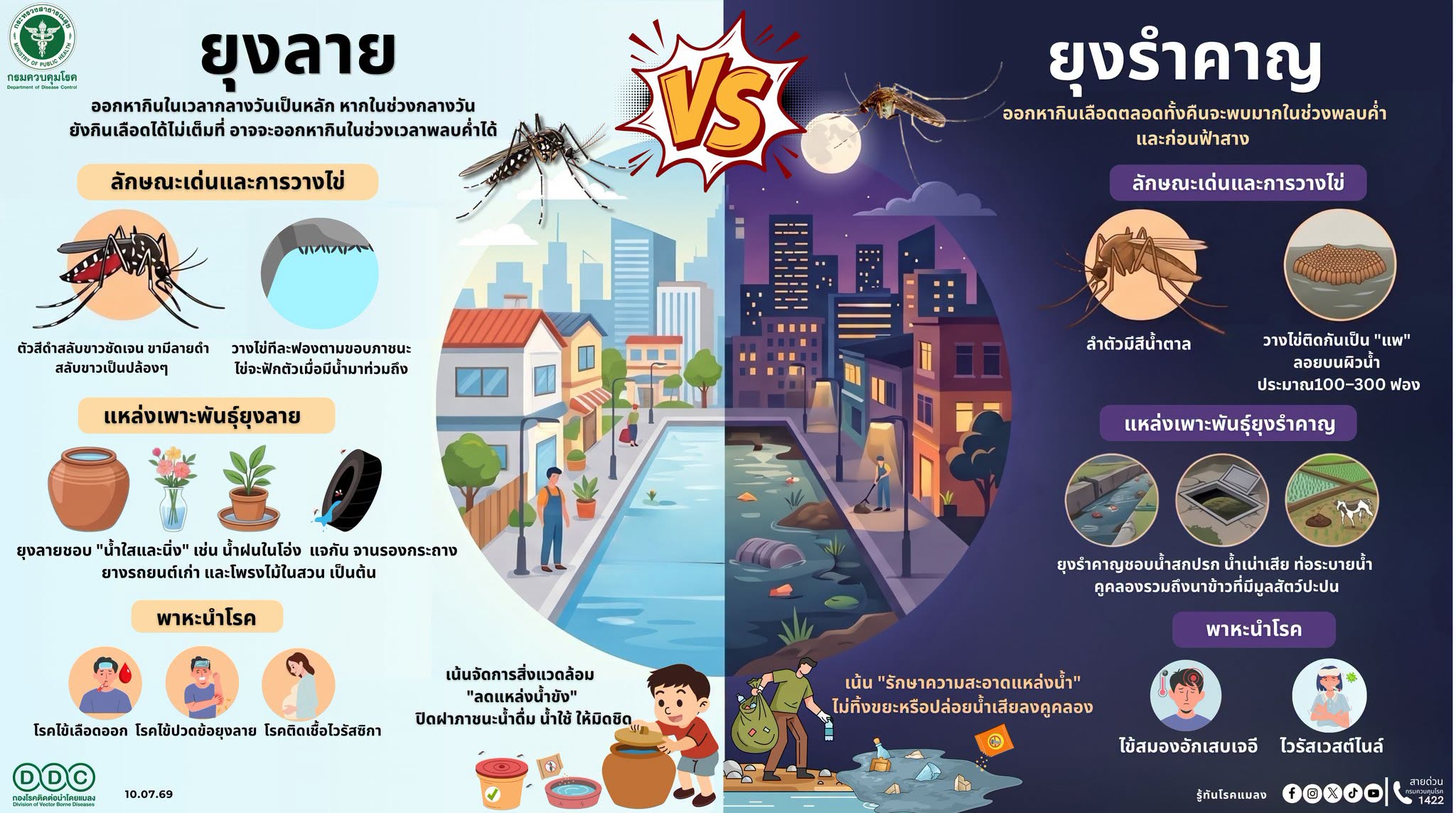 "ยุง" เหมือนกัน... แต่ร้ายคนละแบบ! ชวนมาส่องความต่างระหว่าง "ยุงลาย VS ยุงรำคาญ"