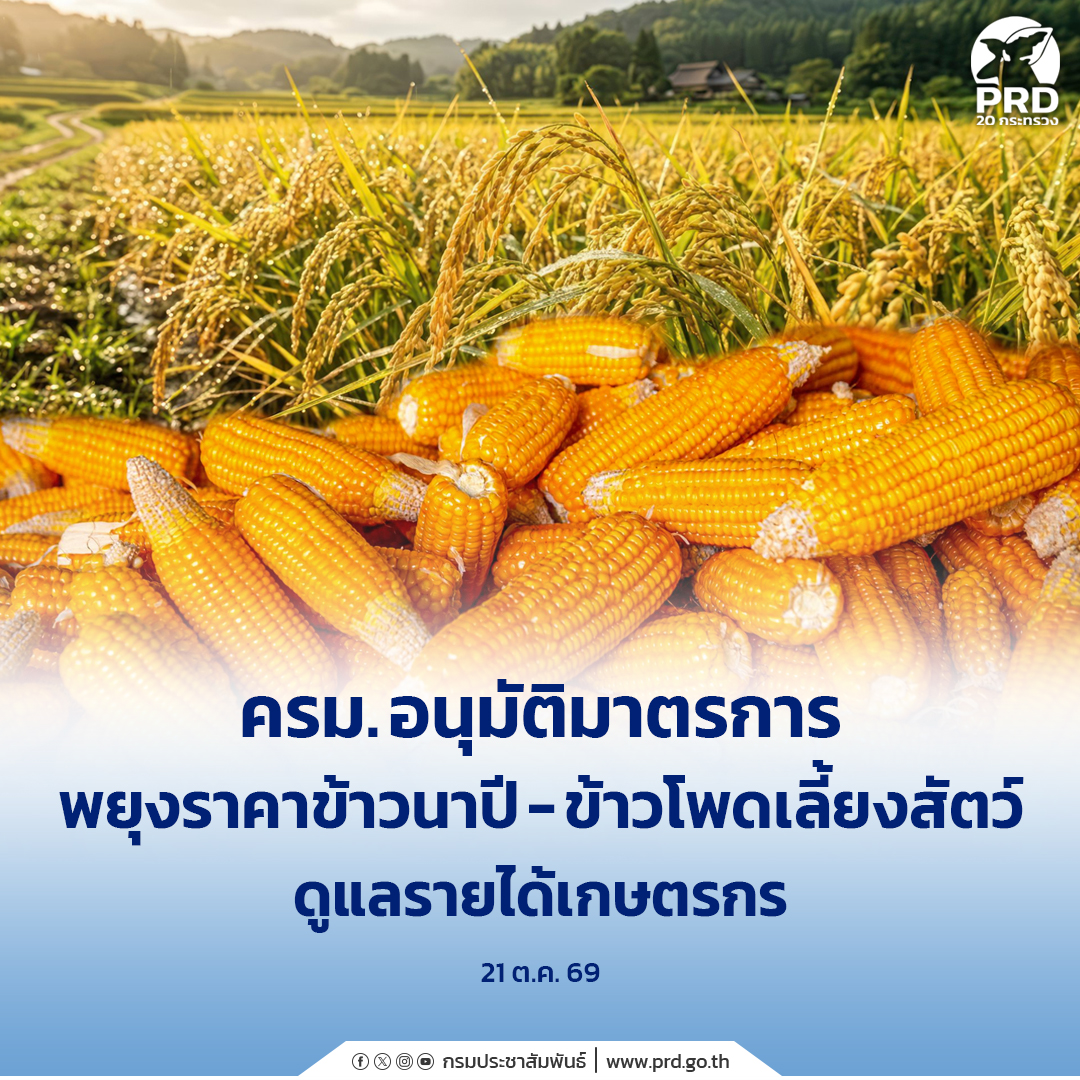 ครม. อนุมัติมาตรการพยุงราคาข้าวนาปี&ndash;ข้าวโพดเลี้ยงสัตว์ ดูแลรายได้เกษตรกร